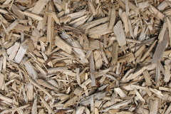 biomass boilers Mulfra